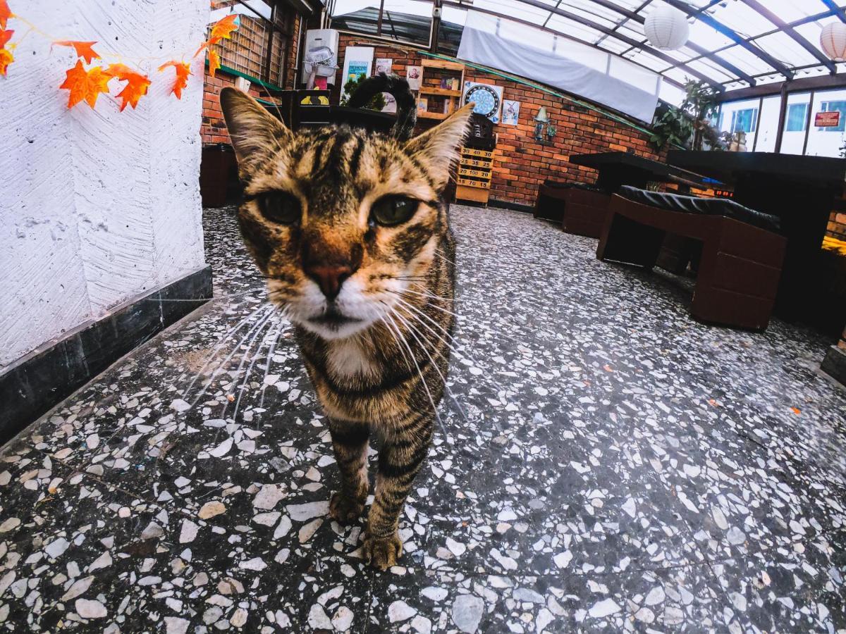 82Hostel Bogotá Kültér fotó